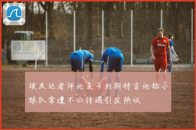 埃及记者评论麦卡利斯特言论称小球队常遭不公待遇引发热议